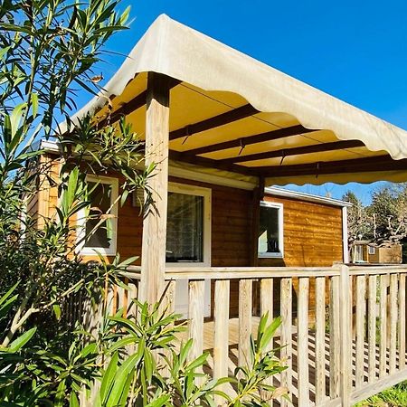 Amelia Camping Amelie-les-Bains-Palalda Exterior photo